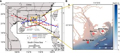Forecasting storm tides during strong typhoons using artificial intelligence and a physical model